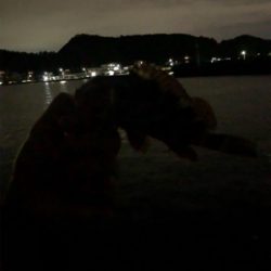 カマスカマスカマス