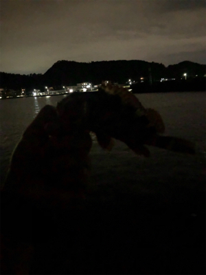 カマスカマスカマス