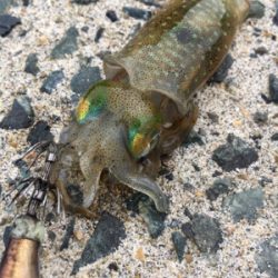 丹後の漁港ランガン❗️