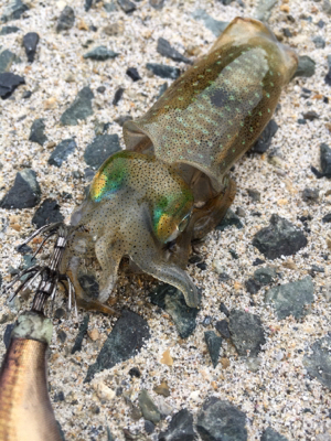 丹後の漁港ランガン❗…