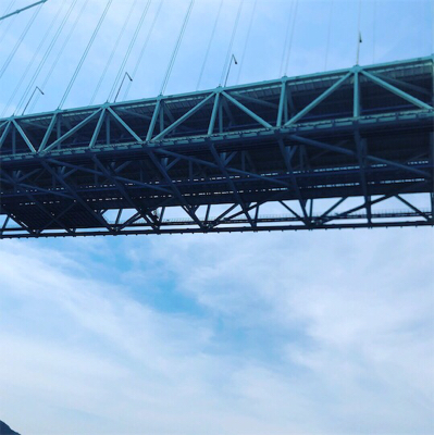 メジロ、ツバス