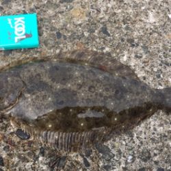 メタルジャッカーマイクロを使ってみた！　【ルミカ（LUMICA）メタルジャッカーマイクロインプレッション】