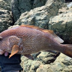 ビッグオオモ〜ン