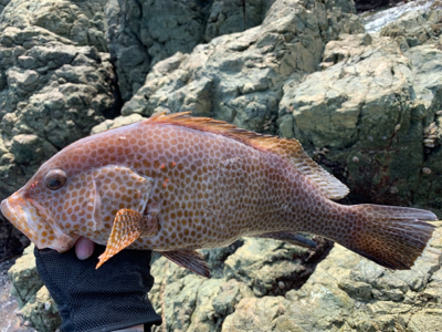 ビッグオオモ〜ン