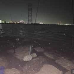 仕事終わりにチョイ釣り