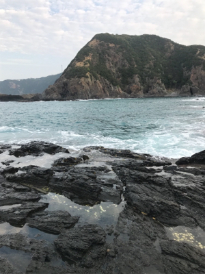 青物が釣りたくて