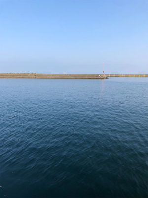 サビキで豆アジ