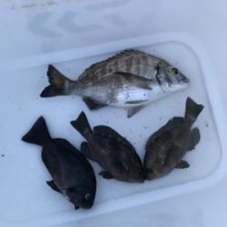 波止フカセ釣り