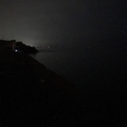 ケンサキ調査(^^)