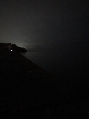 ケンサキ調査(^^)