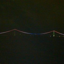 久しぶりの夜釣りと珍魚