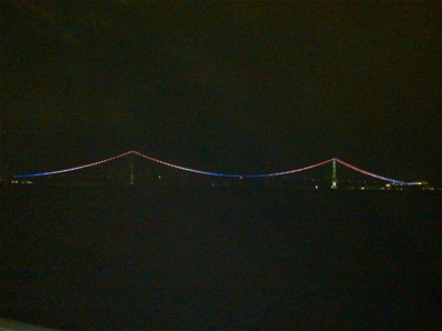 久しぶりの夜釣りと珍魚