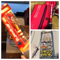 令和元年 初フィッシング〜！