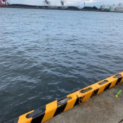 早朝のオクトパッシング