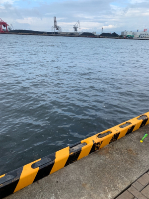 早朝のオクトパッシング