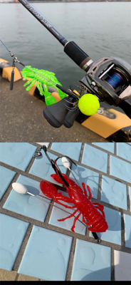 夜明けのオクトパッシング