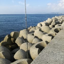 タチウオ　青物狙い