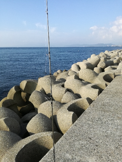 タチウオ　青物狙い