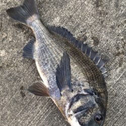 干潮前後で楽しめました