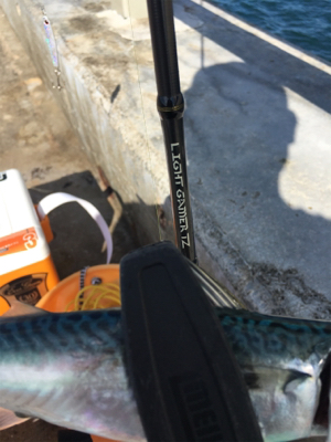 バァーサースタイル？