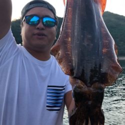 つりぴぃぽぉ釣果