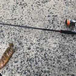 探り探りのライトロック