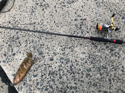 探り探りのライトロック