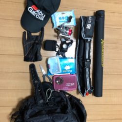 アドバンスメント 56モバイルでサヨリング