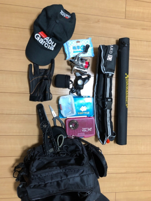 アドバンスメント 56モバイルでサヨリング