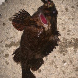 シャローエリアでお遊び