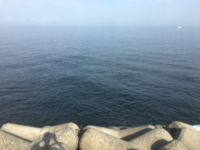 アジ！ツバス！ハマチ！