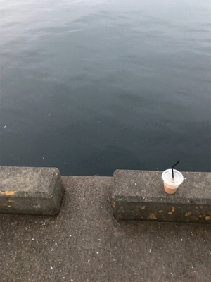 中アジが復活！