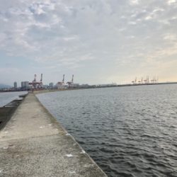 ルアーで初の大爆釣！@沖堤防