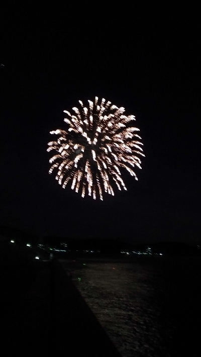 8/12釣果花火大会★ワニゴチサヨリ豆アジアカエイの出産