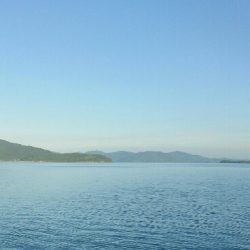 夏本番！！トップチニングで本チヌゲット！！