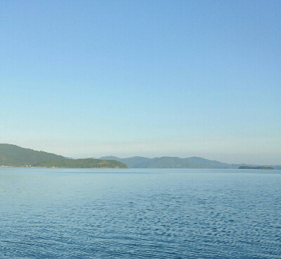 夏本番！！トップチニングで本チヌゲット！！