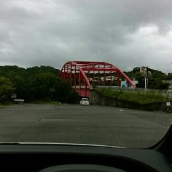 チヌチヌおチヌ