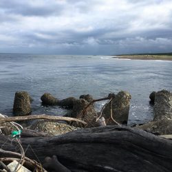 米代川河口シーバス