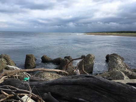 米代川河口シーバス