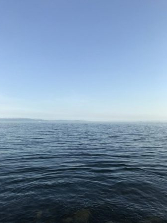 夏のライトショアジギング6