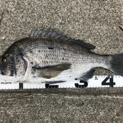 イチノ兄弟、釣果！！