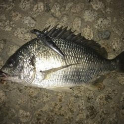 お盆休み最終日