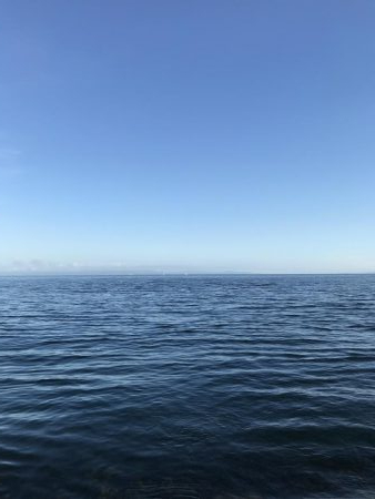 夏のライトショアジギング5