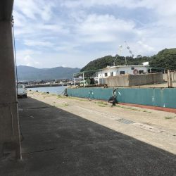 オクトパッシング