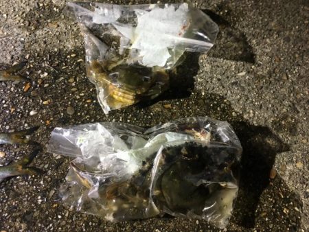 サッパは美味しいよね!