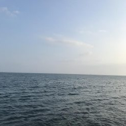 夏のライトショアジギング7