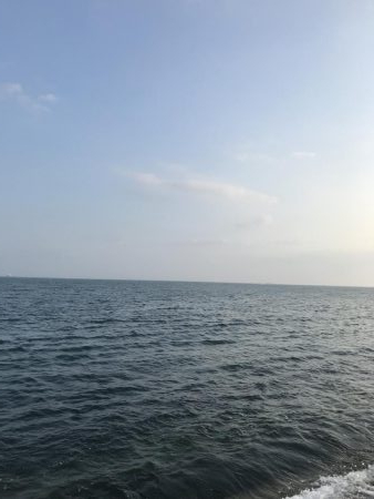 夏のライトショアジギング7