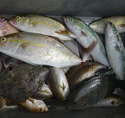 久家さんのイカダでLSJ