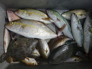 久家さんのイカダでLSJ