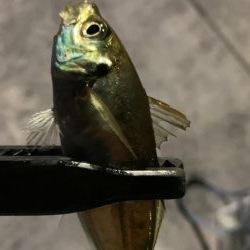 まさかのメッキ